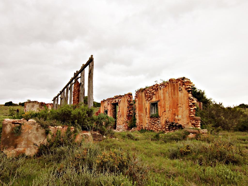 Hlosi Game Lodge - Amakhala Game Reserve Buyskloof Екстер'єр фото