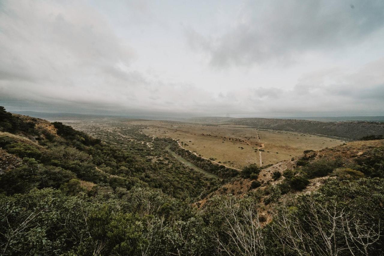 Hlosi Game Lodge - Amakhala Game Reserve Buyskloof Екстер'єр фото