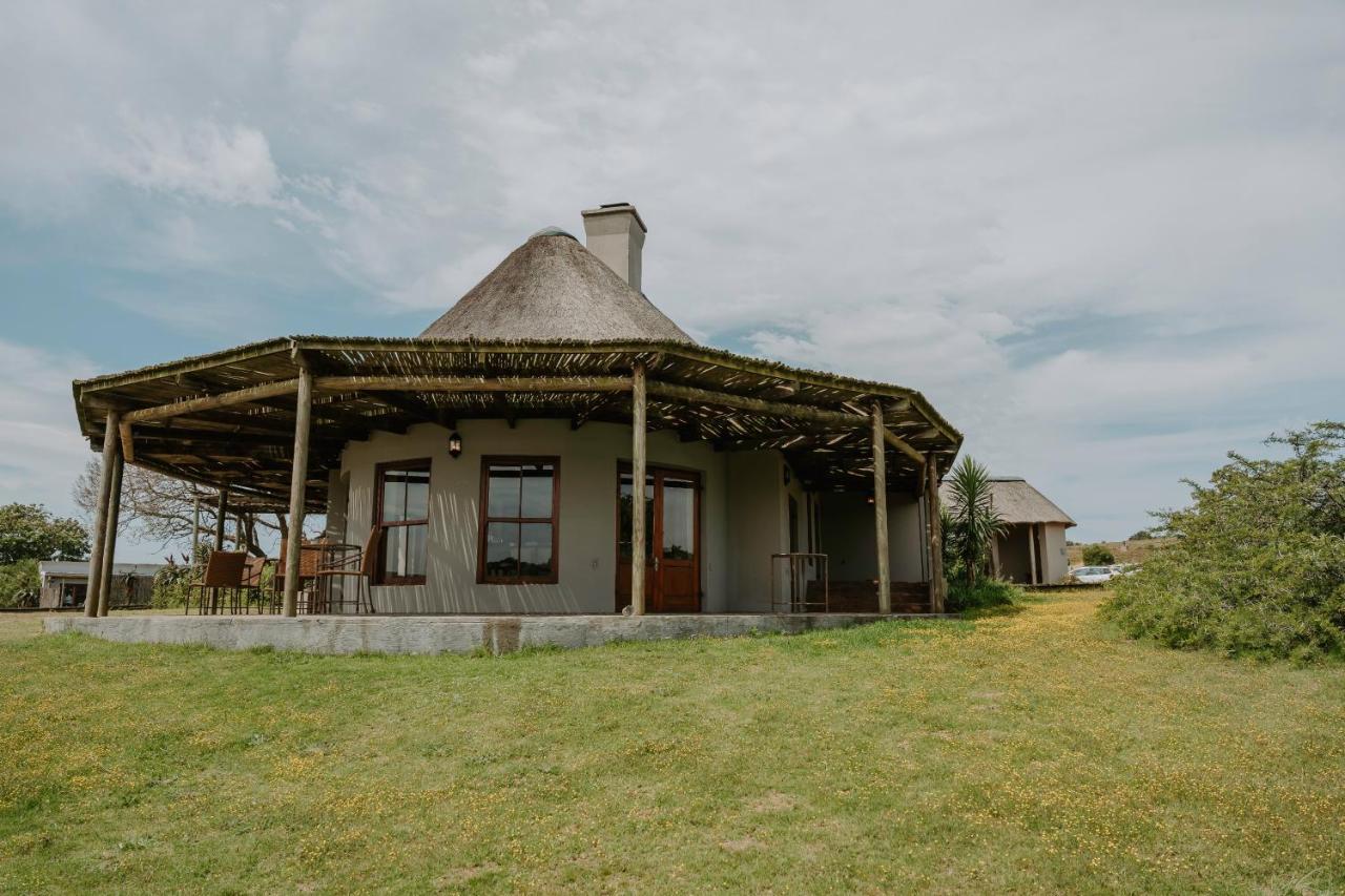 Hlosi Game Lodge - Amakhala Game Reserve Buyskloof Екстер'єр фото